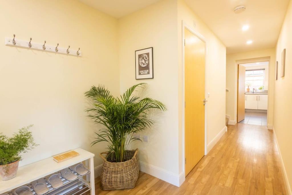 The Wellness Lodge- Gym, Table Tennis, Cinema, Parking And More! Bath Eksteriør bilde